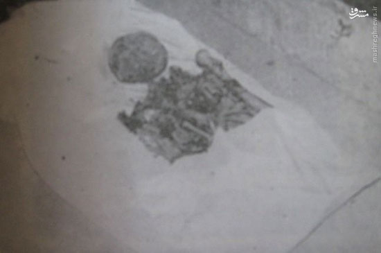 عکس قدیمی از استخوان‌های نادر شاه افشار
