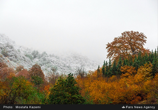 طبیعت زیبای چهاردانگه ساری