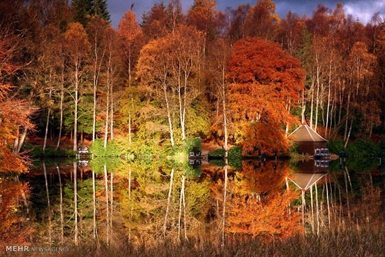 پاییز رویایی در طبیعت انگلیس +عکس