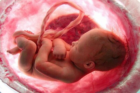 ماجرای حضور فقها در شورای جدید سقط جنین
