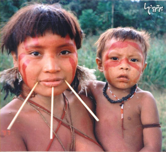 حقایق عجیب درباره جنگل آمازون