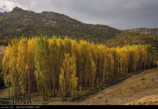 فصل خزان در نقاط مختلف ایران