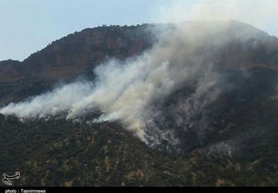 آخرین جزئیات از آتش‌سوزی جنگل ابر شاهرود