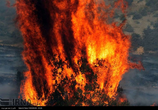 عکس: آتش سوزی در پارک ملی گلستان