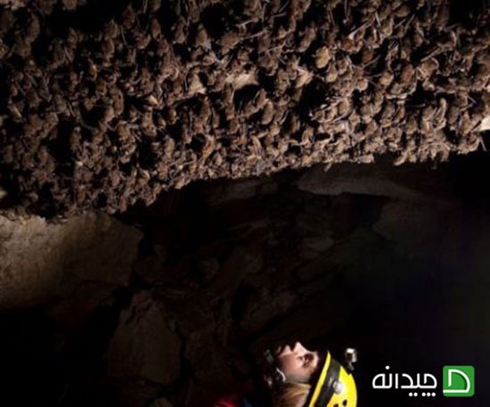 10 غار بی نظیر ایران