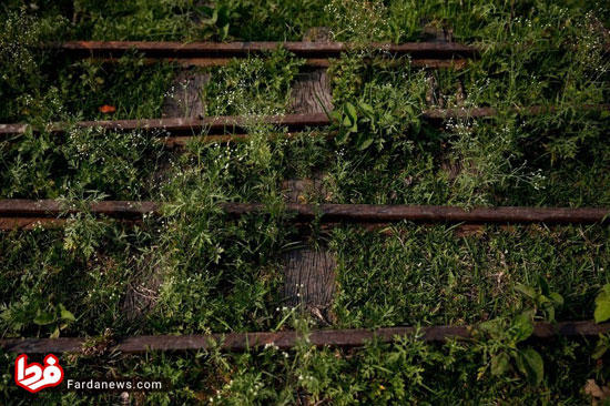 راه آهن متروک به جامانده از استعمار در نپال