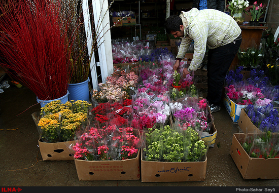 بازار گل و گیاه تهران در آستانه نوروز