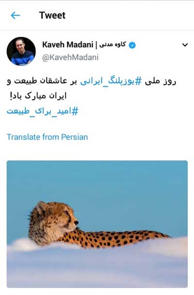 کاوه مدنی: روز ملی یوزپلنگ ایرانی مبارک