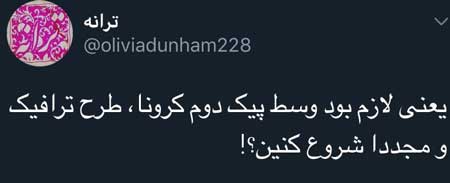 عصبانیت از اجرای طرح ترافیک با فحش و ناسزا
