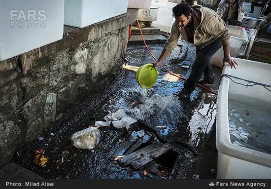 عکس: مراقب باشید؛ می‌میرند