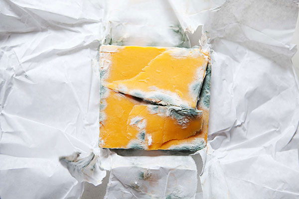 بهترین روش‌های نگهداری از پنیر