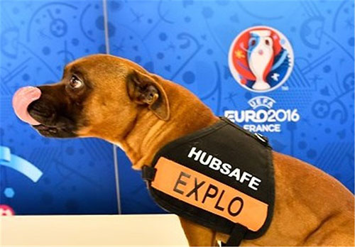 عکس: تدابیر امنیتی قرعه‌کشی یورو 2016