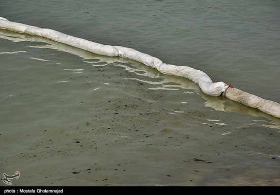 آلودگی نفتی در سواحل ماهشهر