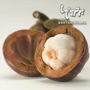 غذاهای ممنوعه، از کنترل شدید گرفته تا کاملاً غیرقانونی غذاهای ممنوعه، از کنترل شدید گرفته تا کاملاً غیرقانونی