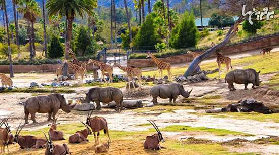 بزرگترین باغ وحش‌های جهان را می‌شناسید؟