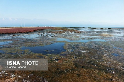 تصویب ۹۰۰میلیارد تومان برای نجات خلیج گرگان