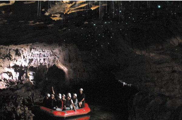 عجایب زیرزمینی جهان؛ از زیستگاه کرم‌های شب‌تاب تا دخمه اسکلت‌های رم