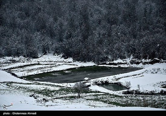 بارش برف در مازندران