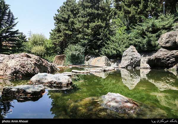 تصاویر؛ پارک سنگی جمشیدیه تهران
