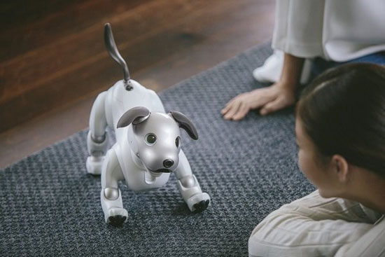 سگ رباتیک رقیب سگ‌های واقعی شد