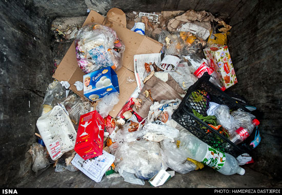 عکس: آت و آشغال