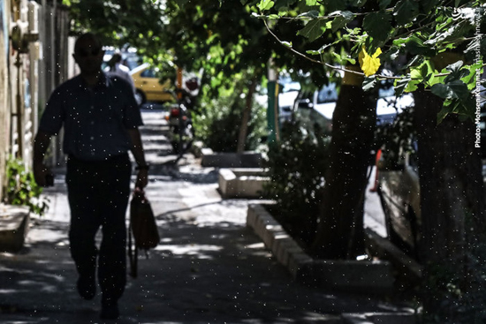 بازگشت مزاحمان به خیابان‌ های تهران