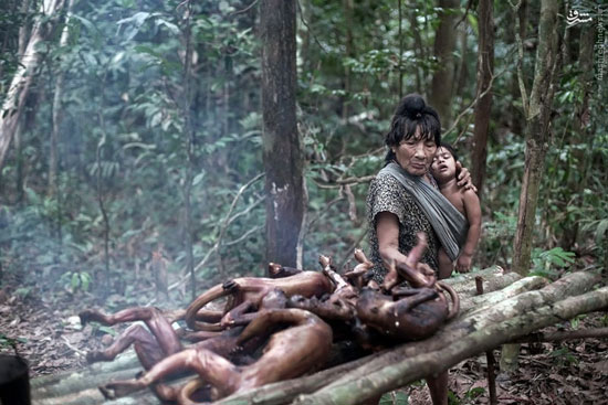 آخرین قبیله بدویِ آمازون +عکس