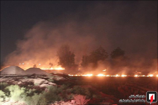 آتش‌سوزی یک گندم‌زار بزرگ در حاشیه تهران