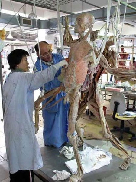 دنیای تن ها، نمایش اجساد مرده +عکس