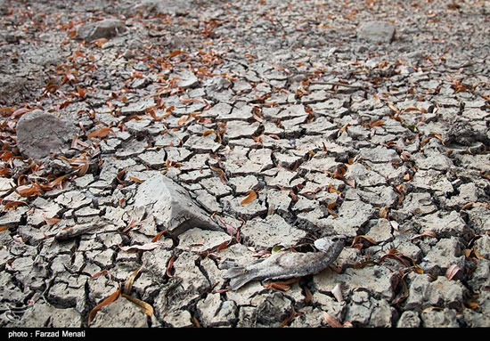عکس: رودخانه رازآور هم خشک شد