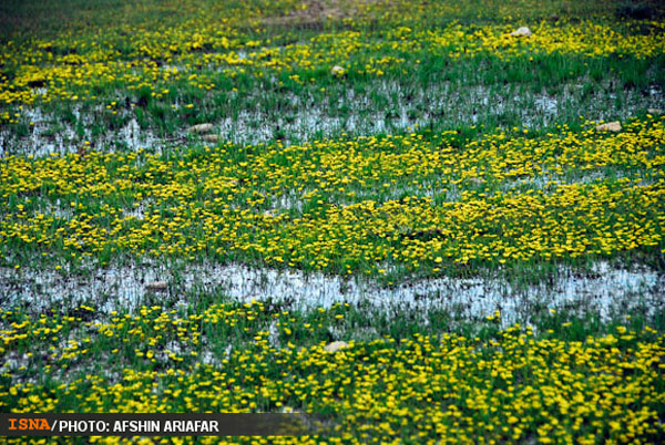مجموعه عکس: دریاچه برم فیروز سپیدان