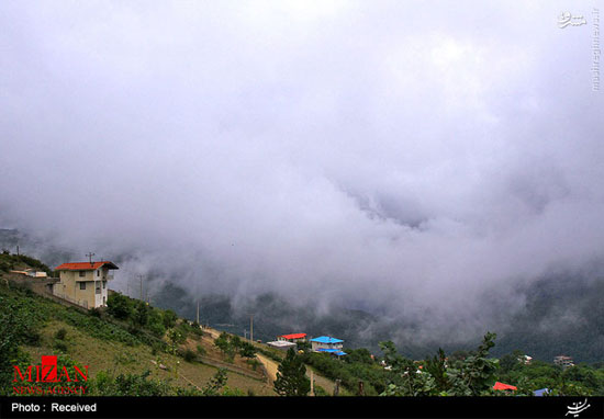 عکس: طبیعت زیبای روستای جواهرده رامسر