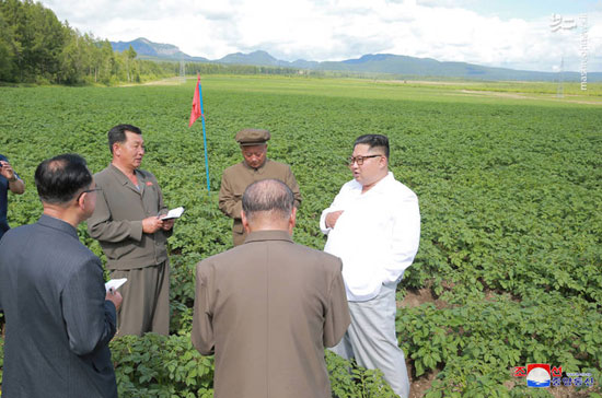 بازدید رهبر کره شمالی از مزارع سیب زمینی