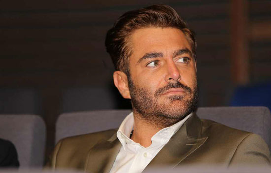 محمدرضا گلزار، پرنس فیلم های تجاری سینمای ایران