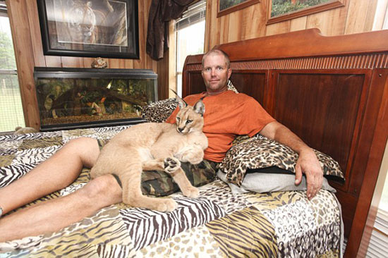 عکس: زندگی با 14 گربه‌سان وحشی در خانه