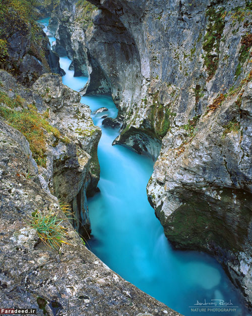 اینجا زیباترین رودخانه‌ جهان است +عکس