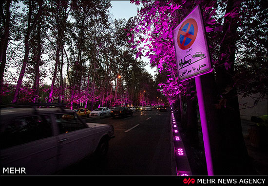 خیابان ولیعصر(عج) غرق نور +عکس