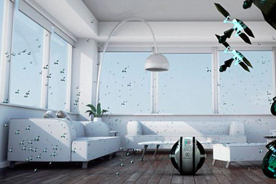 وقتی حشرات خانه‌تان را تمیز می‌کنند +عکس