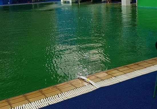 آب استخر شیرجه المپیک سبز رنگ شد!