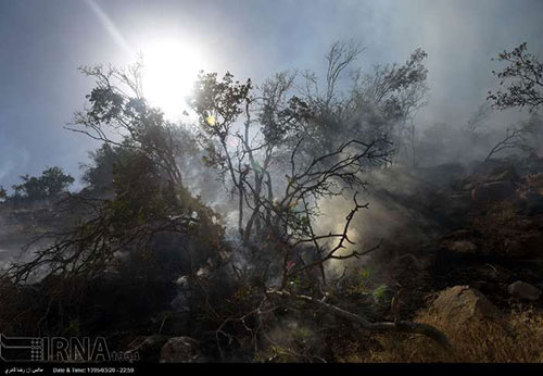 عکس: آتش سوزی در پاسارگاد شیراز