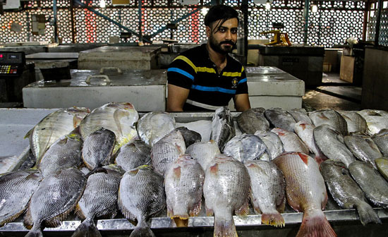 وضعیت بازار فروش ماهی در بندرعباس