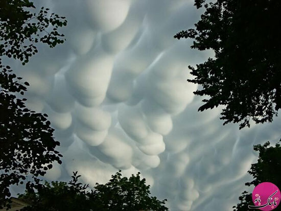 دانستنی های جالب از ابرهای ماماتوس