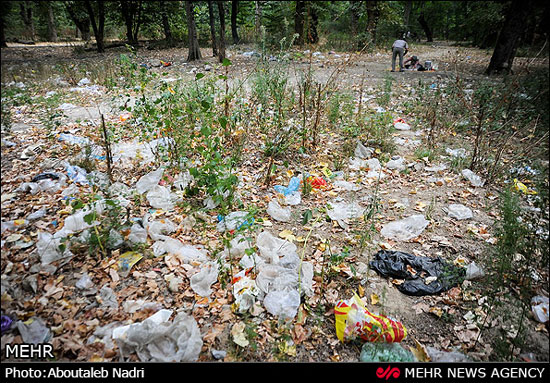 عکس: پاکسازی پارک ملی گلستان