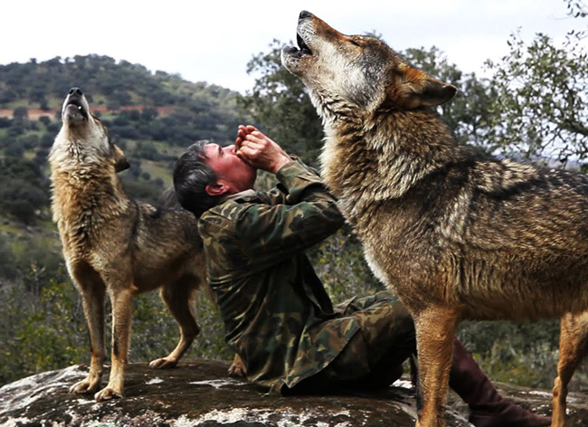 روایت باورنکردنی از زندگی مردی که توسط گرگ‌ها بزرگ شد