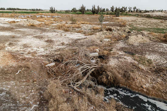 درمانده در بهداشت +عکس