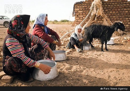 عکس: خشکسالی بیرحمانه در طبس