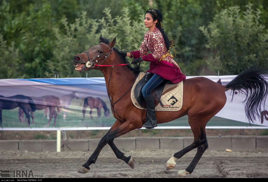 نخستین «اسبواره» انجمن نژادی اسب کُرد