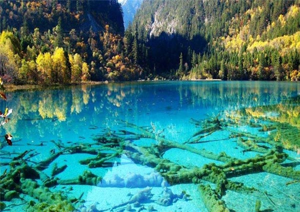 5 دریاچه رنگی جهان را بشناسید +عکس