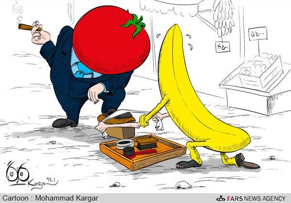 کاریکاتور: آقایی گوجه در برابر موز!