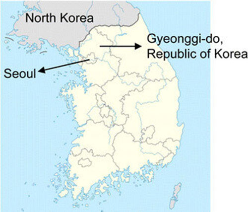 پیشنهاد روزنامه‌نگار کره‌ای برای غلبه بر کرونا